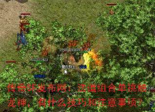 ����SF��������������ϵ�����������ʲô���ɺ�ע�����