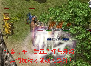 ����棺ѫ��ѡ���������������ת����ս�������