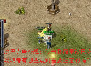 ɳ�Ϳ�����ս������˽����ɳ�Ϳ˹��Ƕ�����Щ������Ҫע�����