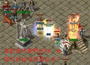 ��ְҵ����Ұ��PK�������������ʵ�ַ�ɱ��