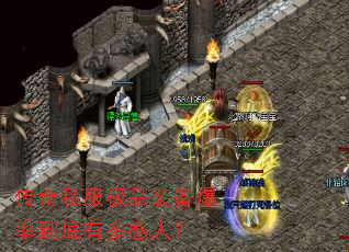 ����˽����Ʒװ�����ʵ����ж���ˣ�