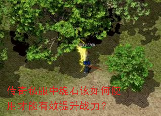 ����˽���л�ʯ�����ʹ�ò�����Ч����ս����