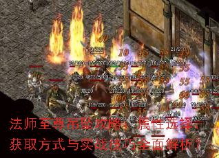 ��ʦ�����׹���ԣ�����ѡ�񡢻�ȡ��ʽ��ʵս����ȫ�������