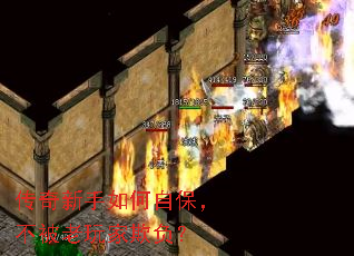 ������������Ա�������������۸���