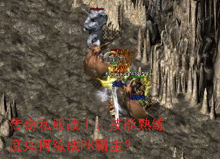 ����˽��սʿ�������������������PK������