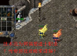 ������Ϊ��ƫ����ʿְҵ��������Ϸ��������⣿