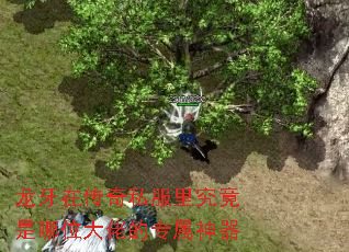 �����ڴ���˽���﾿������λ���е�ר������