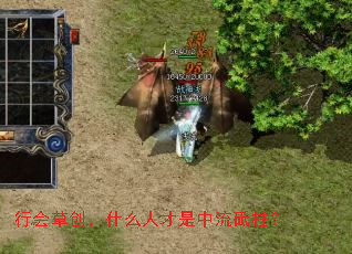 �л�ݴ���ʲô�˲�������������