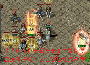 ɢ����������´���SF����ο��������ȼ�����������ص��Ƽ���