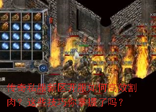 ����˽������������θ�Ч���⣿��Щ��������������