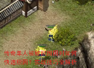 ���浥�˱���ȺΧ��ʱ��ο���������ʵս����ȫ����