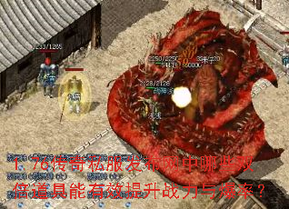 1.76����˽������������Щ˫����������Ч����ս���뱬�ʣ�