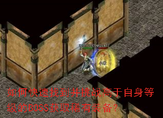 ��ο����ҵ�����ս���������ȼ���BOSS��ȡϡ��װ����