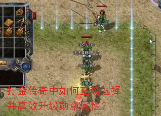 ������������ȷѡ�񲢸�Ч����ѫ�����ԣ�