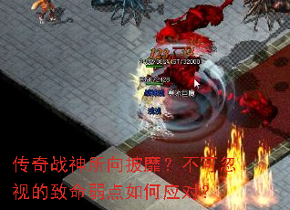 ����ս���������ң����ɺ��ӵ������������Ӧ�ԣ�