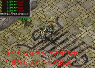 �벻��Ǯ�ڴ�����Ϸ�е���������Щ��������ص�Ͷ�ʣ�