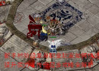 ���ִ�׶ε���ְҵ�����ο�������ʵ���������𲽹���ȫ����