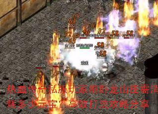 ��Ѫ����˽�����ˢ����ɽׯ�����Ķ���Ԫ������Ч�򷨹��Է���