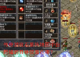 ������ϷʯĹ���ͼ�а�Ұ���ľ���λ�����ģ�