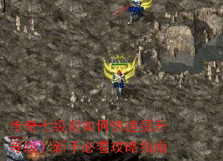 �����߼�ǰ��ο��������ȼ������ֱؿ�����ָ��