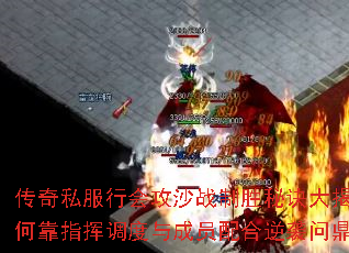 ����˽���лṥɳս��ʤ�ؾ��������ο�ָ�ӵ������Ա�����Ϯ�ʶ���