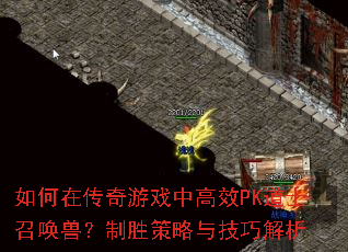 ����ڴ�����Ϸ�и�ЧPK��ʿ�ٻ��ޣ���ʤ�����뼼�ɽ���