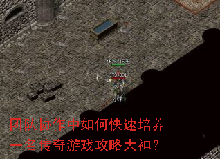 �Ŷ�Э������ο�������һ��������Ϸ���Դ���