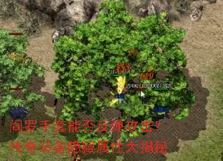 ���������ܷ񷴵�����������װ���������Դ����