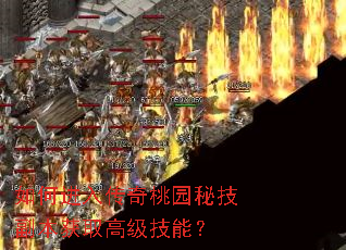 ��ν��봫����԰�ؼ�������ȡ�߼����ܣ�