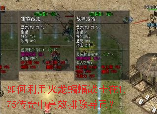 ������û�������սʿ��1.75�����и�Ч�ų��켺��