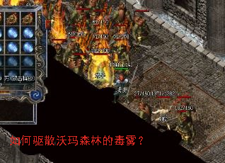 �����ɢ����ɭ�ֵĶ�����