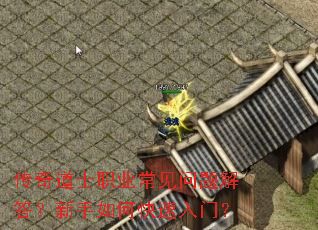 �����ʿְҵ����������������ο������ţ�