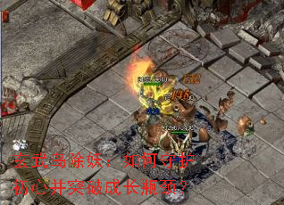 ���䵺����������ػ����Ĳ�ͻ�Ƴɳ�ƿ����