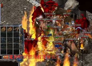 ��ħ�����ȡ������ʲô��