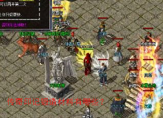 ����ӡ�Ƕ����������Щ��