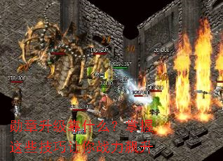 ѫ��������ʲô��������Щ��������ս�����