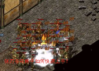 ���в��������ο������֣�