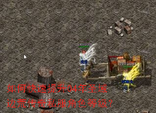 ��ο�������04��ʥ��߻Ĵ���˽����ɫ�ȼ���