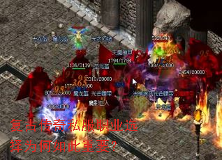 ���Ŵ���˽��ְҵѡ��Ϊ�������Ҫ��