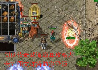 ������������۷幥�Դ�ȫ��ͼ���������Ƕ�