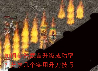 ����������������ɹ��ʣ���������ʵ����������