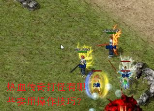 ��Ѫ����������Щʵ�ò������ɣ�