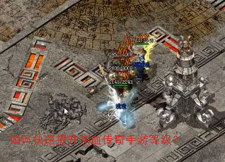 ��ο���������Ѫ�������εȼ���