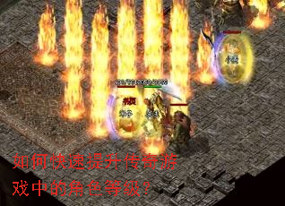 ��ο�������������Ϸ�еĽ�ɫ�ȼ���