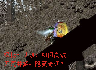 ̽����������θ�Ч���Ĳ���������������