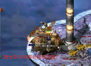 ��ʿְҵ����Щ�������ã�