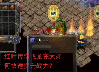 ��Ҷ�������������ο�������ս����