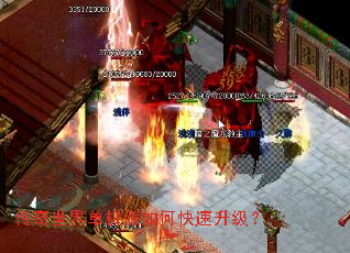 �������絥������ο���������